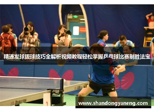 精通发球拨球技巧全解析视频教程轻松掌握乒乓球比赛制胜法宝