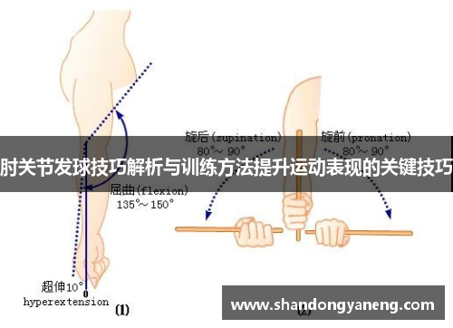 肘关节发球技巧解析与训练方法提升运动表现的关键技巧
