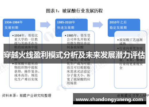 穿越火线盈利模式分析及未来发展潜力评估